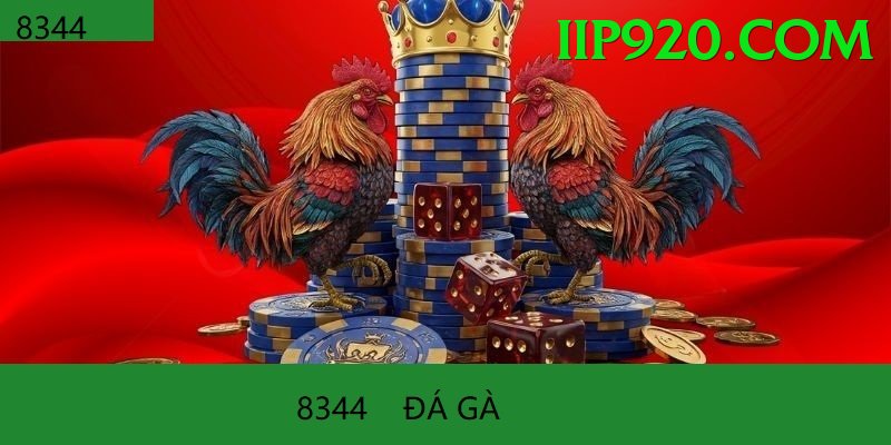 Đá Gà Trực Tiếp - Trải nghiệm tuyệt vời