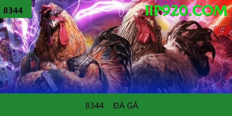 Đá Gà Trực Tiếp - Ưu đãi đặc biệt